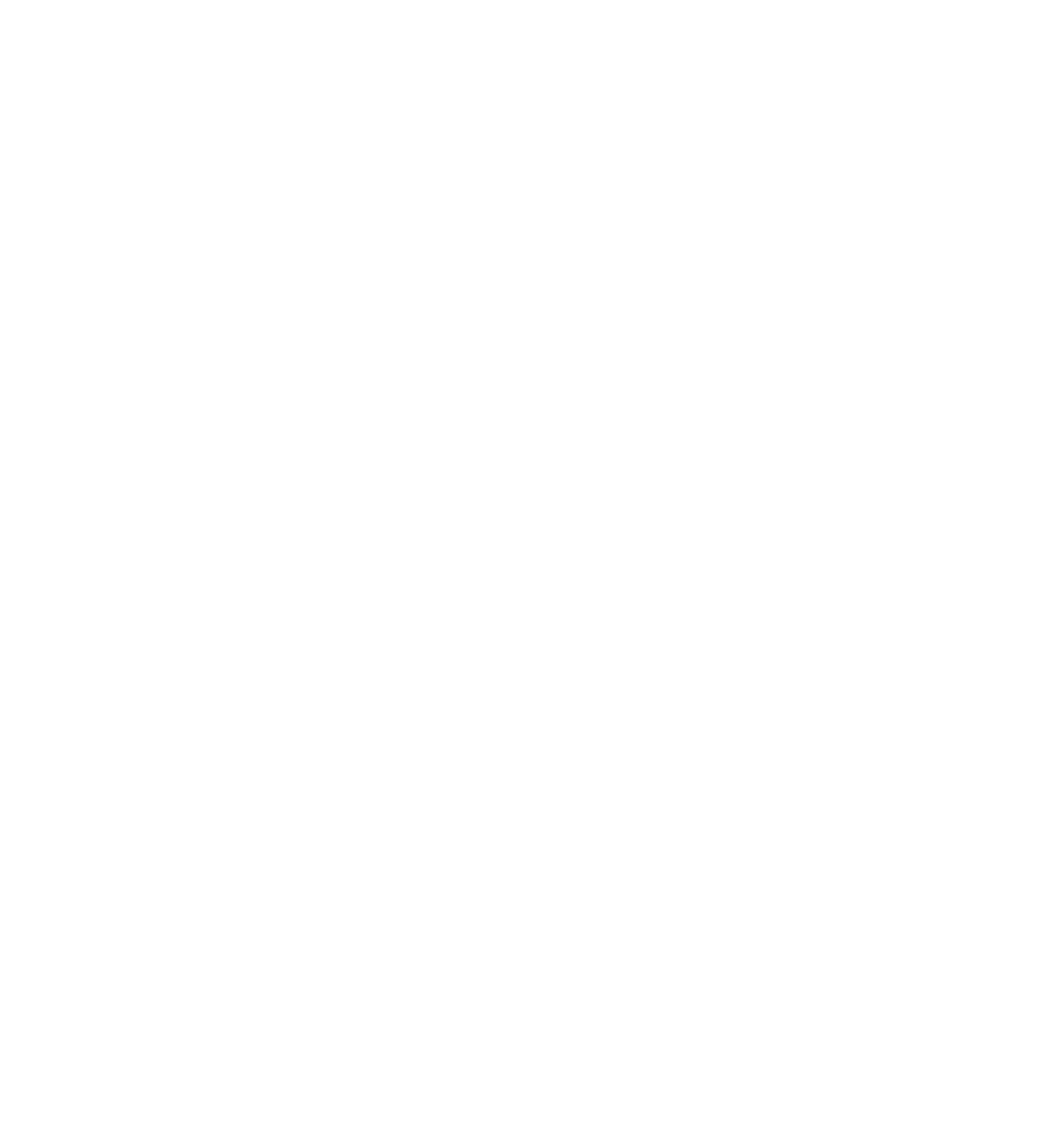 Adanta Consulta